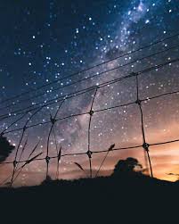 The Only Limits In Life Are The Ones You Make Meaning The Only Limits In Life Are The Ones You Make