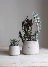 Set Of 2 Stratton Cement Plant Pots Indoor Plant Pots Concrete Plant Pots Plant Pot Decoration