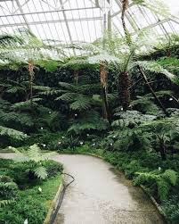 Happy Earth Day From The Berlin Dahlem Botanical Garden Via Jagborimumindalen Tumblr 1213bst 1213berlin Shoplocal Shopsmall Sustaina