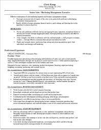 Use over 20 unique designs! Resume Transition From Self Employed Back To Employee Salesjobs Com