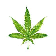 Leaf coloring pages nature leaf 11 printable 2021 315 coloring4free. Pot Plant Drawing Free Coloring Pages