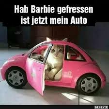 Hab Barbie Gefressen Ist Jetzt Mein Auto Mit Bildern Lustige Humor Bilder Lustige Bilder Katzen Witze