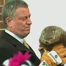 As an animal that hibernates, groundhogs are known to store fat as winter approaches. Bill De Blasio Killed A Groundhog Charlotteghogg Twitter