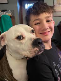 Does Cosequin joint supplement work?