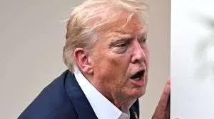 Roberto Armenta's Instagram, Twitter & Facebook