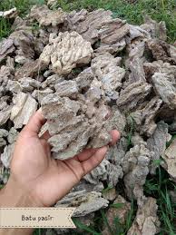 Batu mustika pasir hitam atau emas hitam ini kami temukan kemarin di malam jumat kliwon di gunung selarong daerah bantul jogjakarta. Ready Batu Lavarock Hitam Batu Pasir Niicky Aquascape Facebook