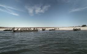 Year 2019 :: KVH 16. obrněná divize