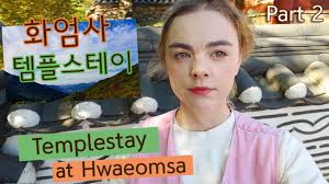 We did not find results for: ê·¸ëƒ¥ ë§ˆë¦¬ì—˜just Mariel Youtube Channel Analytics And Report Powered By Noxinfluencer Mobile