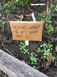 You may be feeling like you don't have time to water as often as you should be or water is scarce in your area. Growing Vegetables Everything You Need To Know