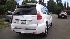 Image result for Blizzard Pearl 2008 GX