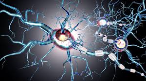 It is caused by destruction of the myelin insulation covering. Multiple Sclerosis Disease Modifying Therapies United Spinal Association