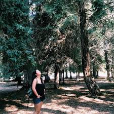 Maybe you would like to learn more about one of these? Oc Redwood Grove In Yorba Linda Ca