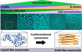 Controllable Coacervation Of Recombinantly Produced Spider