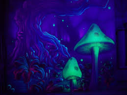 470 kb wallpaper uploaded by: Magic Mushroom Wallpapers Wallpaper Cave