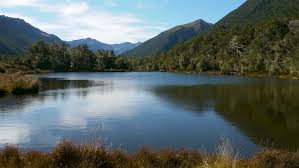 Lake Christabel tracks: Victoria Forest Park, West Coast region