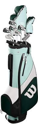 Best Golf Clubs For Petite Ladies Beginner Golf Swing Tips