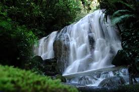 Air terjun/ pemandian alam kampung gunung sesampai di lokasi anda pasti bakal terpesona dengan keindahan dan kesegaran gemercik air terjun dari yang mengalir deras jatuh ke dalam kolam alami. Air Terjun Pancaweuleuh Gunung Gede Pangrango Air Terjun Air Gunung