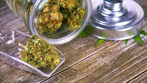 We did not find results for: Cannabis 101 What Your Dispensary Wants You To Know Before Your Visit