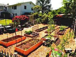 Photo Of Best Vegetable Garden Layout Ideas Beginners Beautiful Together Wit Front Yard Landscaping Design Garden Layout Vegetable Backyard Landscaping Designs