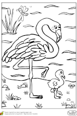 Start by marking ma mère est un flamant rose as want to read Dessin A Colorier D Une Maman Flamant Rose Et De Son Petit