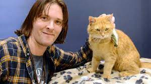 warum diese katze die berliner begeistert cats street cat bob a cat named bob