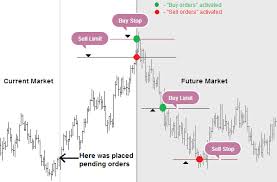 Types Of Forex Orders Profitf Website For Forex Binary Options Traders Helpful Reviews Forex Forex Signals Order