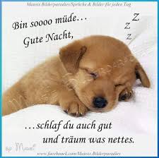 Diese bilder könnt ihr bei whatsapp, jappy, facebook. Pin Von Annelore Reutter Auf Gute Nacht Gute Nacht Gute Nacht Grusse Liebe Gute Nacht Grusse