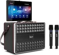 Amazon.com: Karaoke Machine for Adults, with Lyrics Display ...