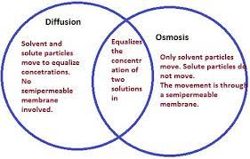 Pin By Pattyb On Nursing Study Tips Osmosis Nursing Study Tips Chemistry Lessons