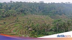 Gunung, pantai, air terjun, kebun teh, persawahan terlukis sangat indah di atas hamparan bumi ini, maka nikmat tuhanmu yang manakah yang kamu dustakan? 10 Keindahan Dan Pemandangan Alam Indonesia Yang Memukau