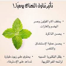 Pin By Hon Jnoun On Http Nafies Com Health And Nutrition Herbs Health