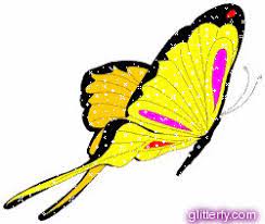 Butterfly Glitter Graphics Facebook Tumblr Orkut Butterfly Clip Art Butterfly Free Clip Art