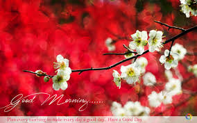 Pin On Hd Wallpaper 4 Us