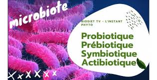 L'express styles fait le point. Probiotique Prebiotique Symbiotique Et Meme Actibiotique Mais C Est Quoi La Difference