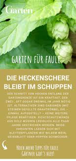 Wilder Garten Garden Garten Als Sichtschutz Dienen Hecken Im Garten Und Vor Der Terrasse Damit Man Diese Weniger Oft Sch In 2020 Gartengestaltung Wilder Wein Garten