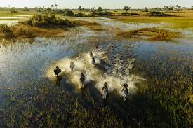 This is xaranna okavango delta camp. Horseback Safari In The Okavango Delta Timbuktu Travel