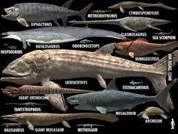 We're on much firmer ground when it comes to leedsichthys'. To The Guy Whu Postes The Titanoboa Here Is The Leedsichthys 9gag