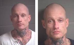 Mountain Bikers Held Up at Gunpoint in Pisgah, Manhunt Still Ongoing