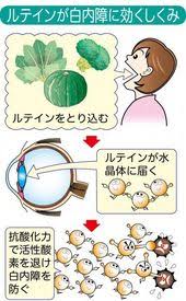 白内障予防食はルテインの多い野菜 1日分の摂取量が1杯でとれる 緑黄スムージー の作り方 カラダネ ルテイン 健康 健康 食べ物