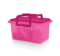 Tupperware® Small Carry-All® Container | Detachable Handle Storage Bin