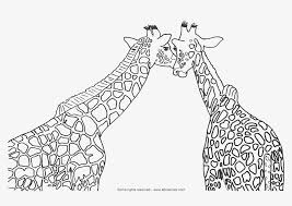 These free, printable summer coloring pages are a great activity the kids can do this summer when it. Cute Giraffe Coloring Sheets Coloring Online Coloring Library