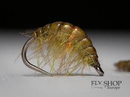 Olive Infected Gammarus W Cdc Fly Fishing Flies Pattern Fly Tying Patterns Fly Tying