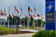 Resultado de imagen de “Por qué no es una buena idea integrar a Georgia en la OTAN”, Fernando Arancón en El Orden Mundial, 2018