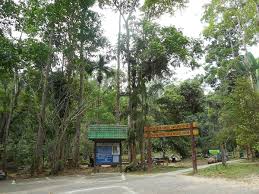 Jkr bahagian senggara aset negeri : File Bantang River Recreational Forest Jpg Wikimedia Commons