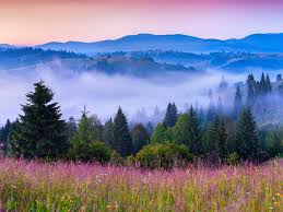 We did not find results for: Cele Mai Frumoase Peisaje De Primavara Din Lume