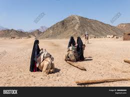 Here you can calculate how many camels your girlfriend or boyfriend is worth. Hurghada Egypt Image Photo Free Trial Bigstock