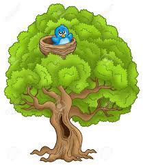 Cartoon Bird On Tree Drawing Bird Cartoon Images Cartoon Birds Cartoon Trees Animal Mural