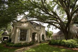 How Close Does Your House Have To Be To Tiger Stadium For One Man Tiger Stadium Stadium Lsu Football