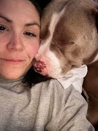 Pitbull is the best breed in the world. Period.