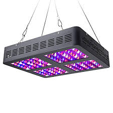 Check spelling or type a new query. Led Grow Light Comparison Greenbudguru